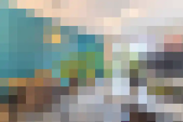 Porporastraat 62 Zwolle thumbnail 13