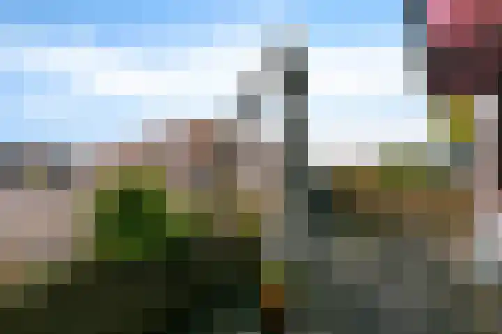 Porporastraat 62 Zwolle thumbnail 16