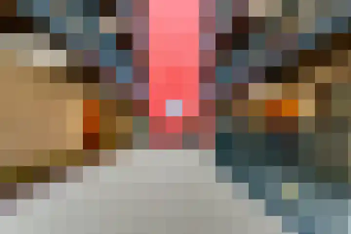 Porporastraat 62 Zwolle thumbnail 5