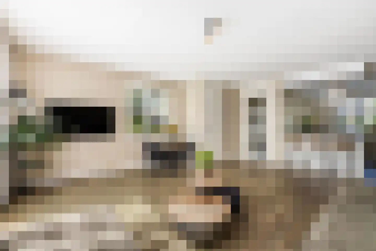 Porporastraat 75 Zwolle thumbnail 10