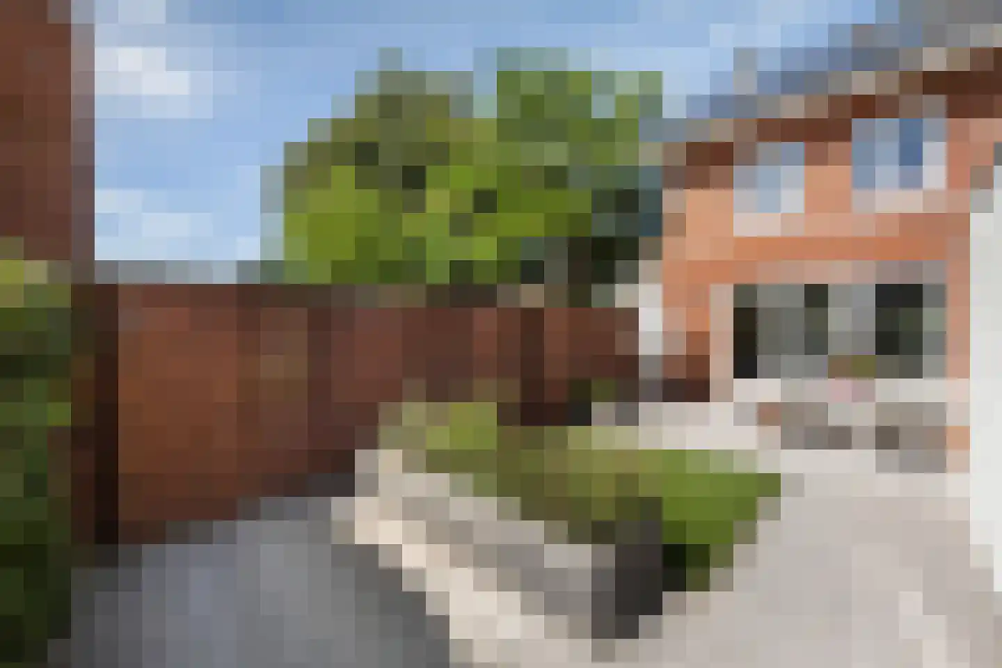 Porporastraat 75 Zwolle thumbnail 4
