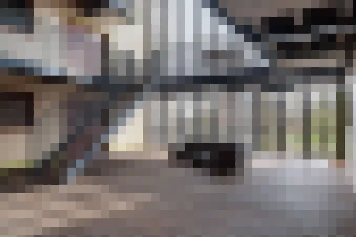 Porporastraat 88 Zwolle thumbnail 24