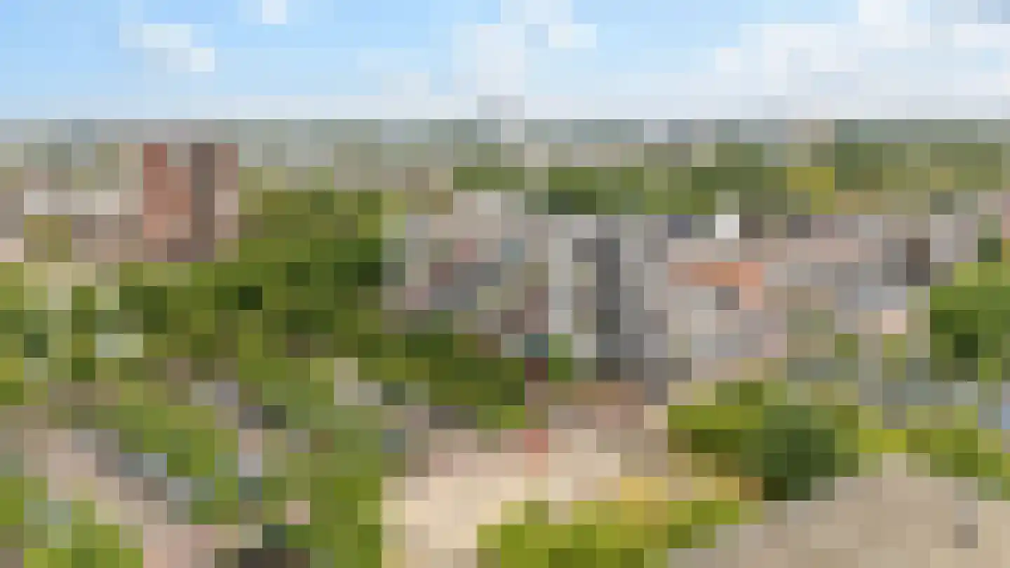 Porporastraat 88 Zwolle thumbnail 26