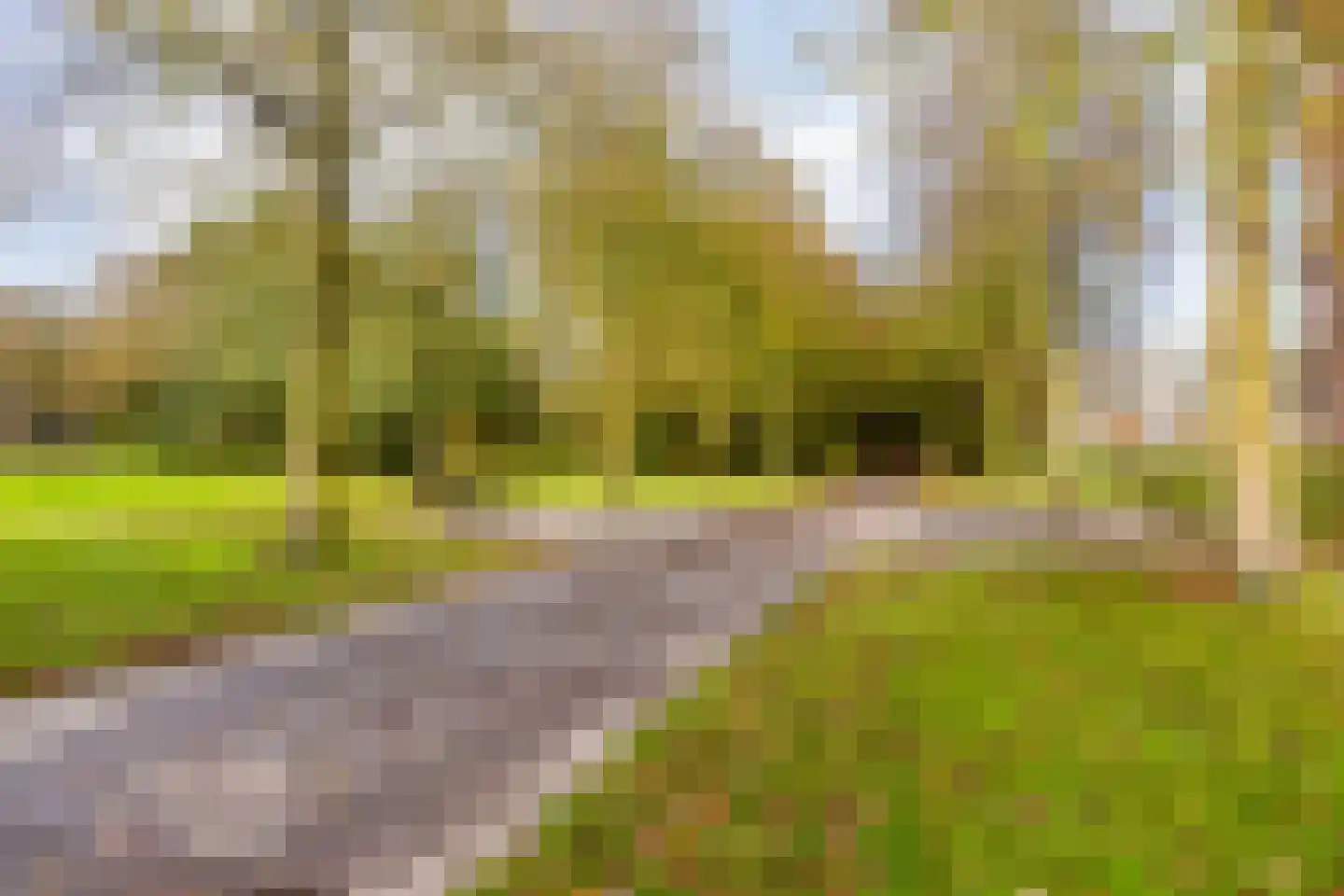 Porporastraat 98 Zwolle thumbnail 32
