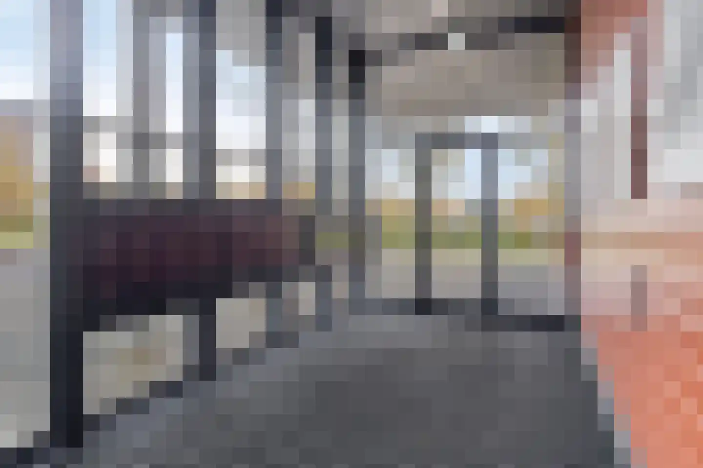 Porporastraat 98 Zwolle thumbnail 5
