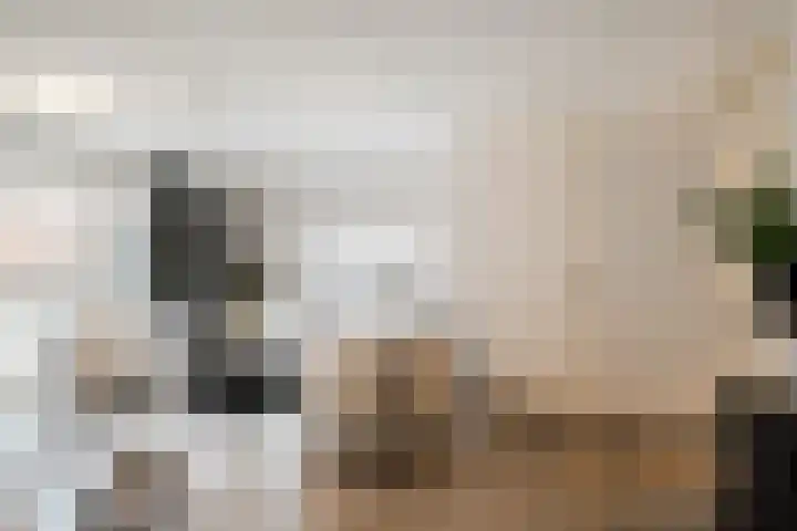 Porseleinvlinder 5 Enschede thumbnail 10