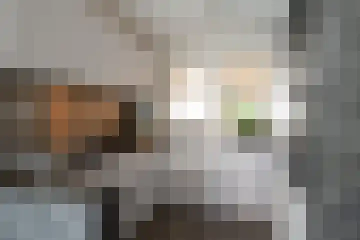 Porseleinvlinder 5 Enschede thumbnail 13