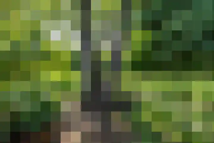 Porseleinvlinder 5 Enschede thumbnail 21