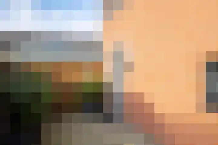 Porseleinvlinder 5 Enschede thumbnail 5