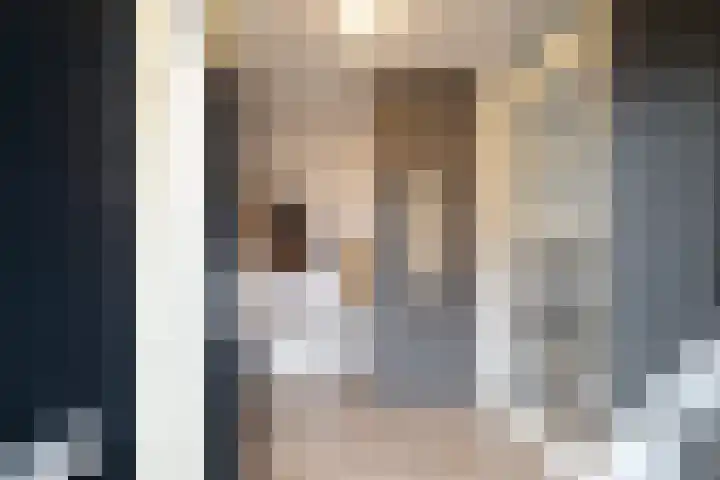 Porseleinvlinder 5 Enschede thumbnail 6