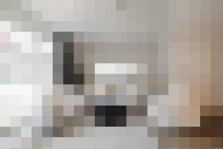 Porseleinvlinder 5 Enschede thumbnail 9