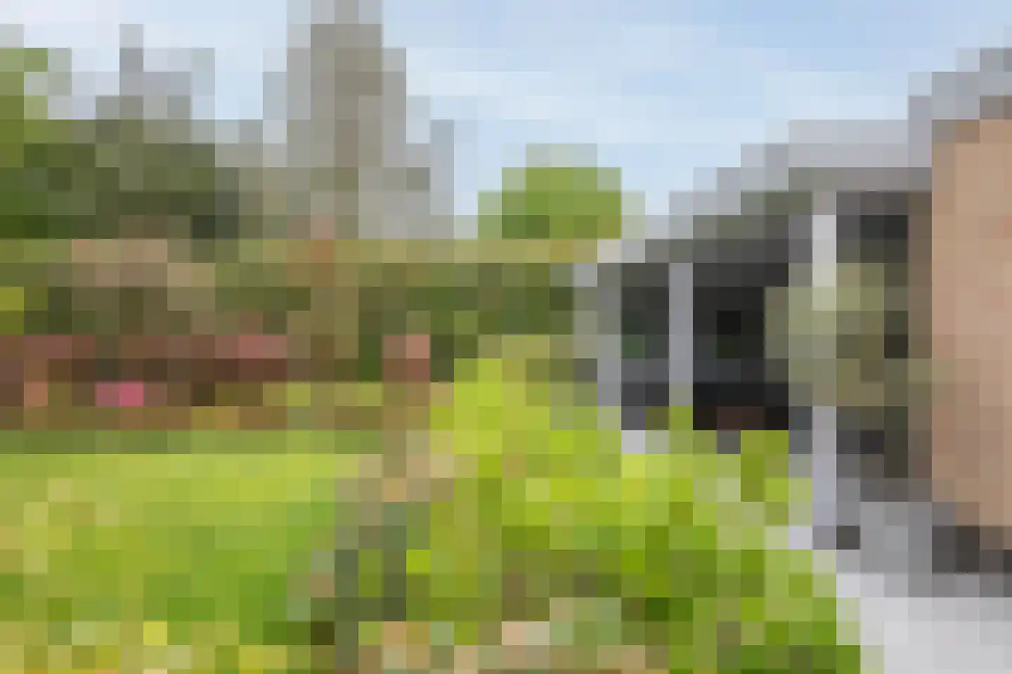 Port-Natalweg 28 Assen thumbnail 52