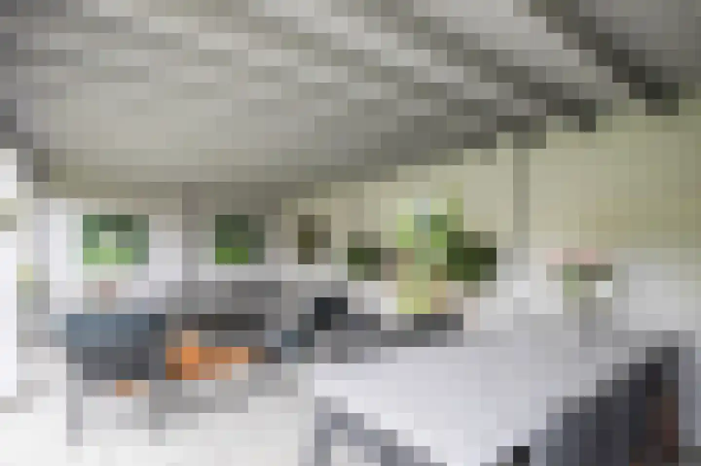 Port-Natalweg 28 Assen thumbnail 54