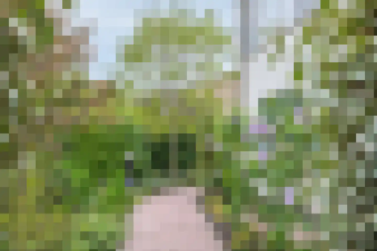 Port-Natalweg 28 Assen thumbnail 60
