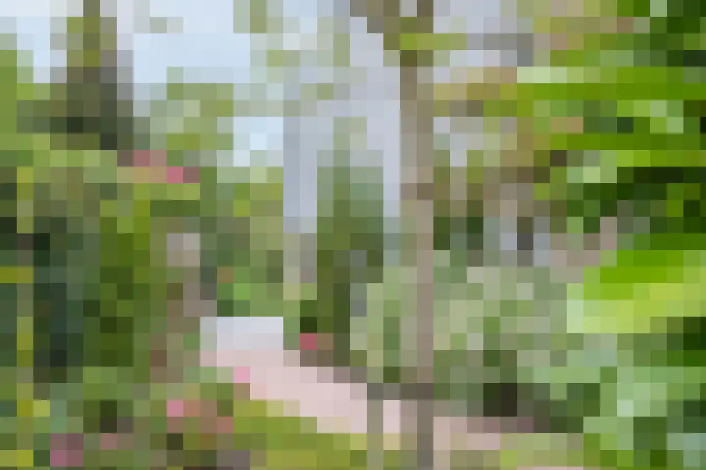 Port-Natalweg 28 Assen thumbnail 62