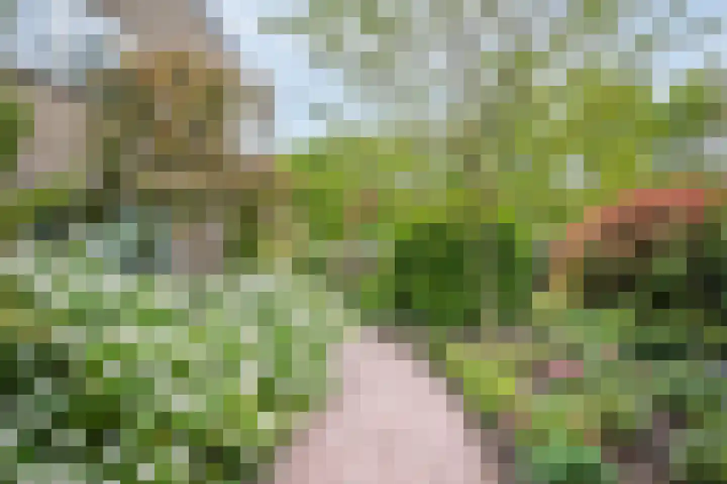 Port-Natalweg 28 Assen thumbnail 63