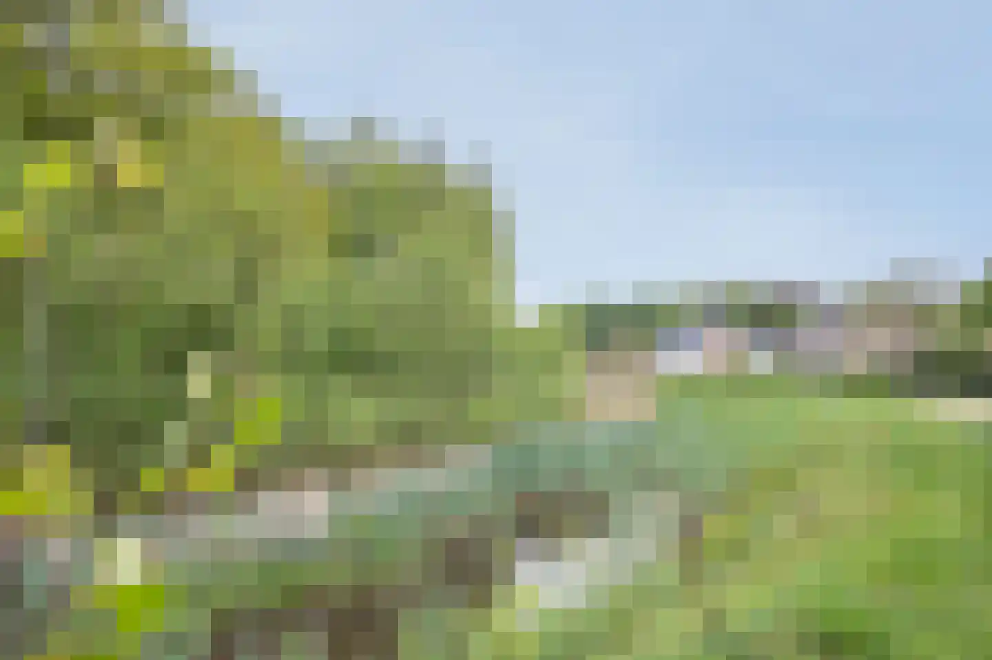 Port-Natalweg 28 Assen thumbnail 65