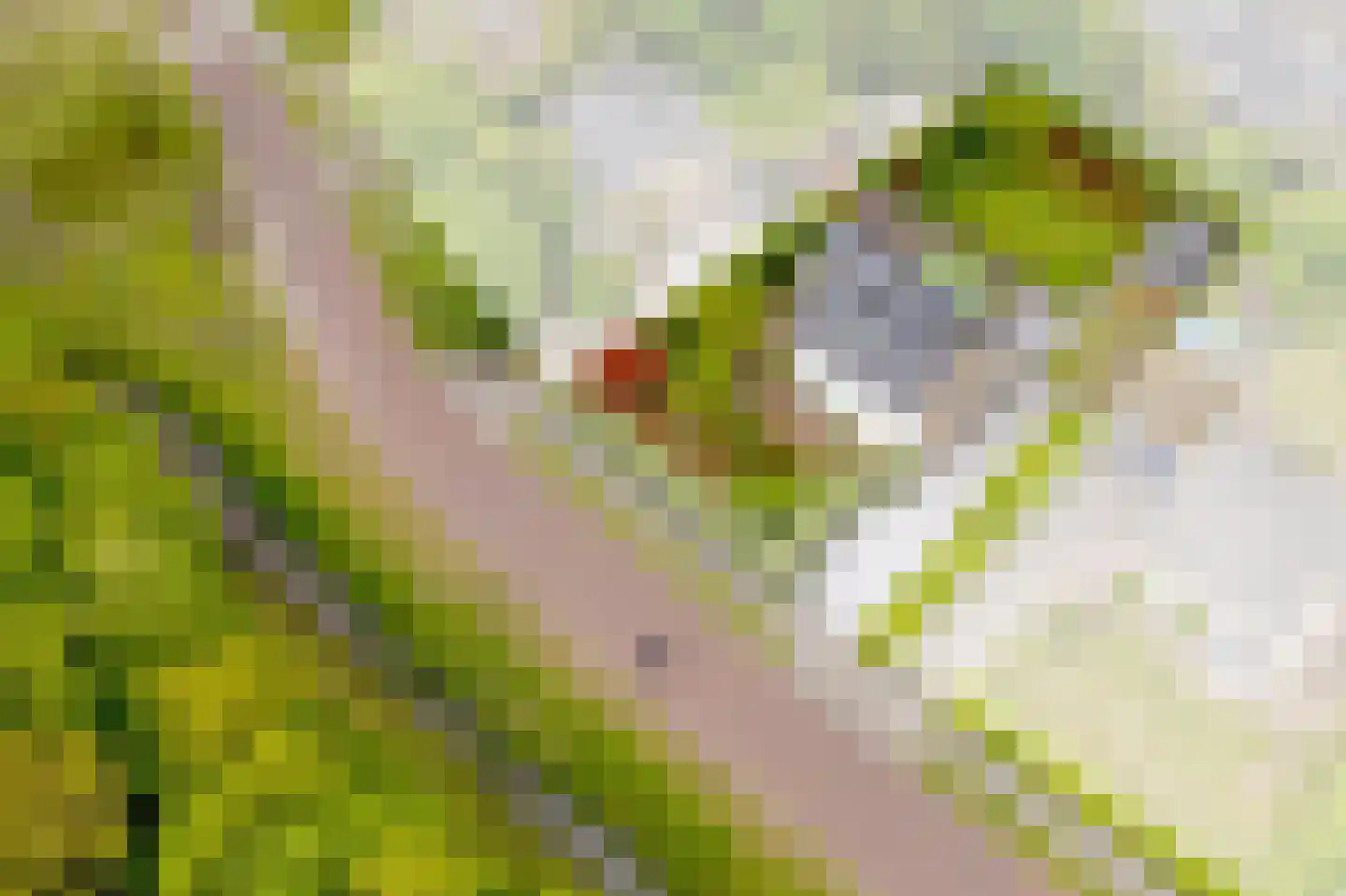 Port-Natalweg 28 Assen thumbnail 66