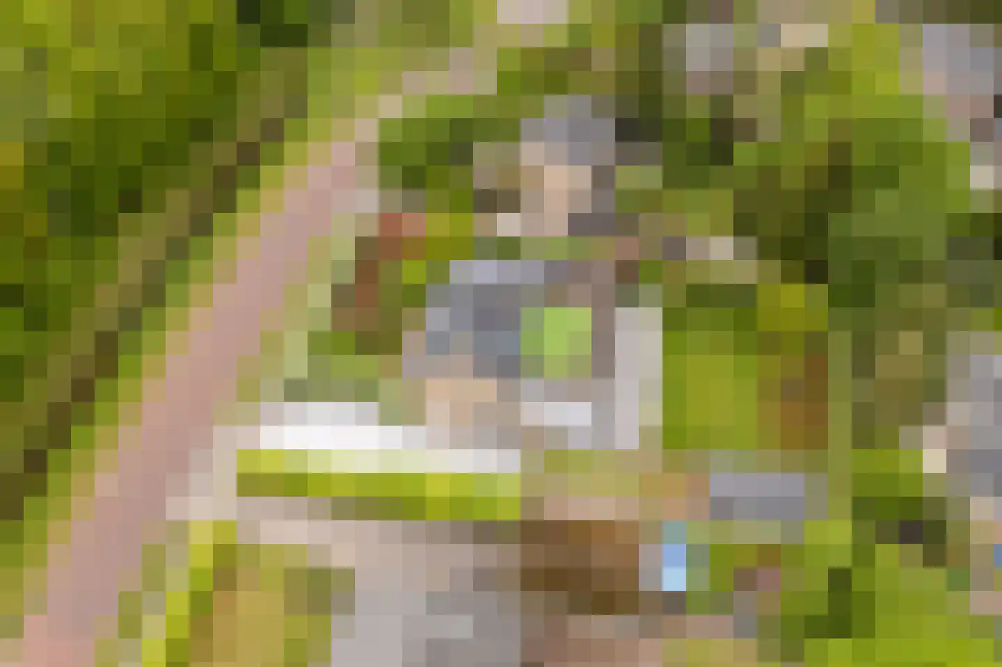 Port-Natalweg 28 Assen thumbnail 67