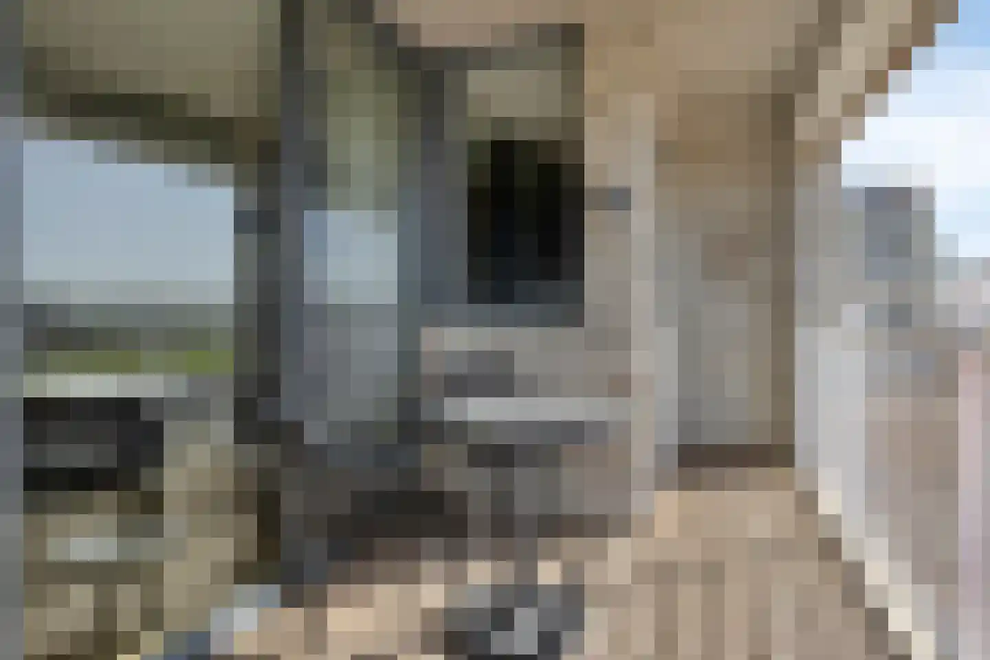 Port Scaldis 11 062 Breskens thumbnail 31