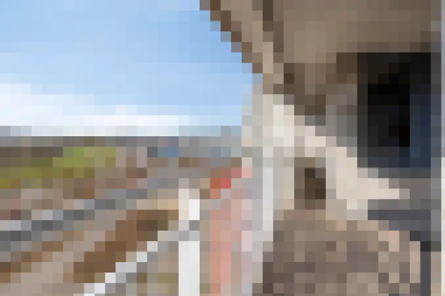Port Scaldis 11 101 Breskens thumbnail 32