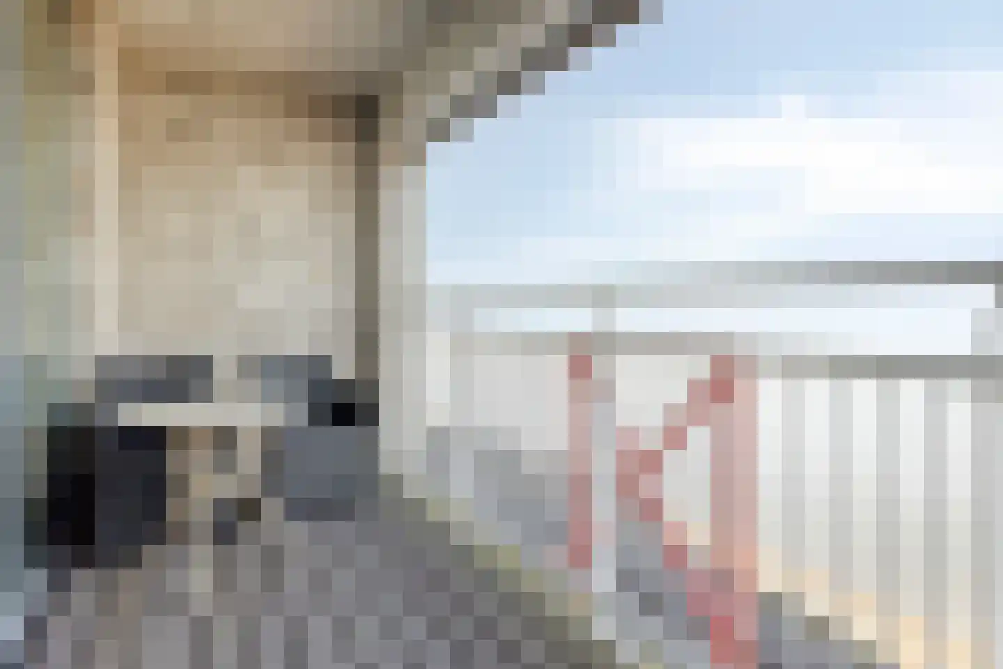 Port Scaldis 13 011 Breskens thumbnail 24
