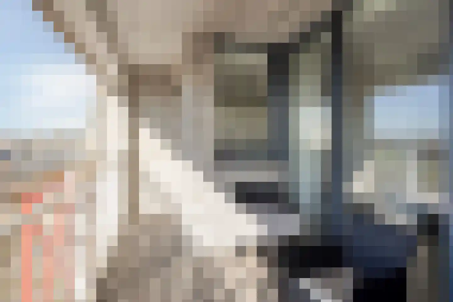 Port Scaldis 13 011 Breskens thumbnail 26
