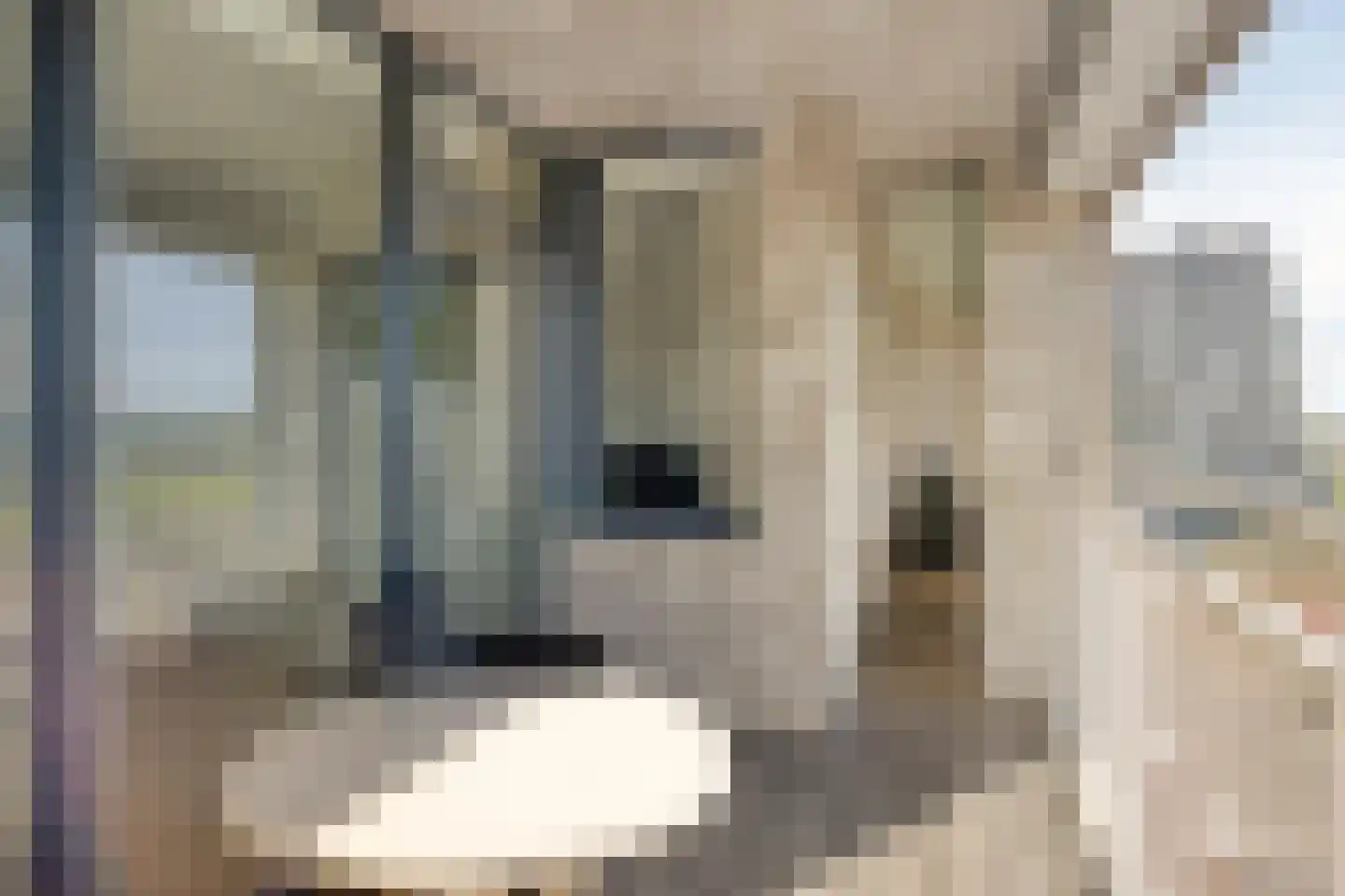 Port Scaldis 13 011 Breskens thumbnail 27
