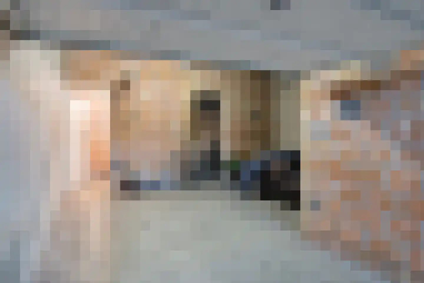 Port Scaldis 13 091 Breskens thumbnail 35