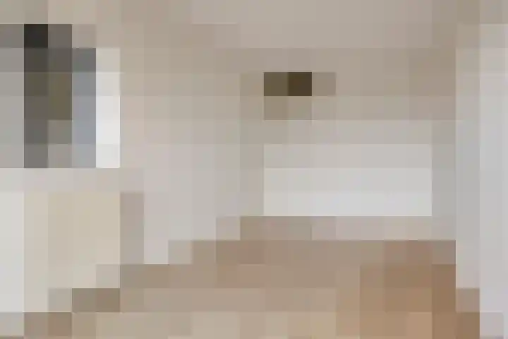 Port Scaldis 21 012 Breskens thumbnail 17