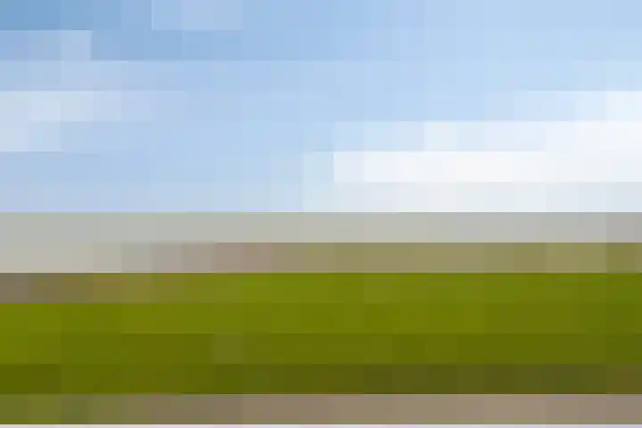 Port Scaldis 21 012 Breskens thumbnail 22