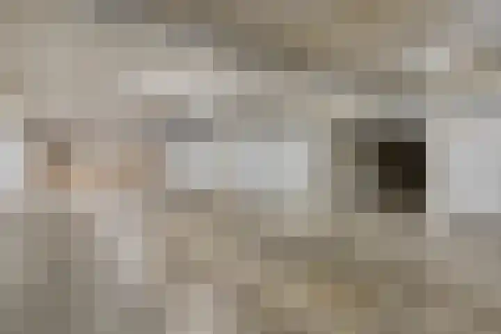 Port Scaldis 21 012 Breskens thumbnail 23