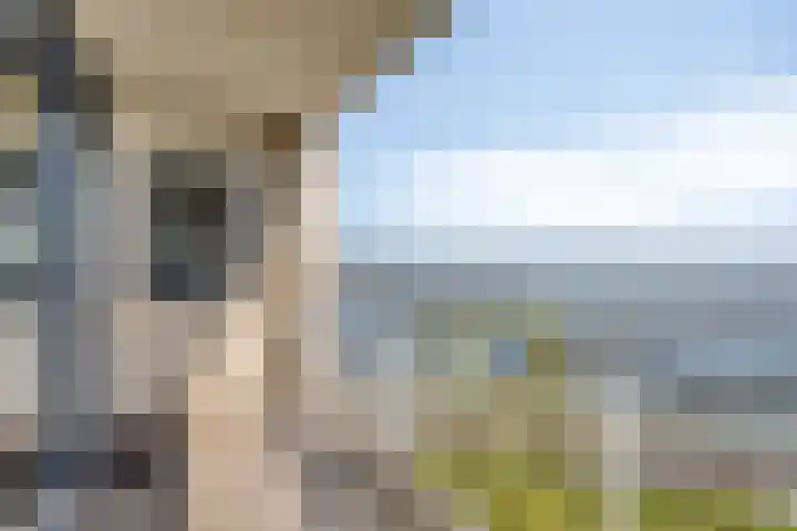 Port Scaldis 21 012 Breskens thumbnail 29