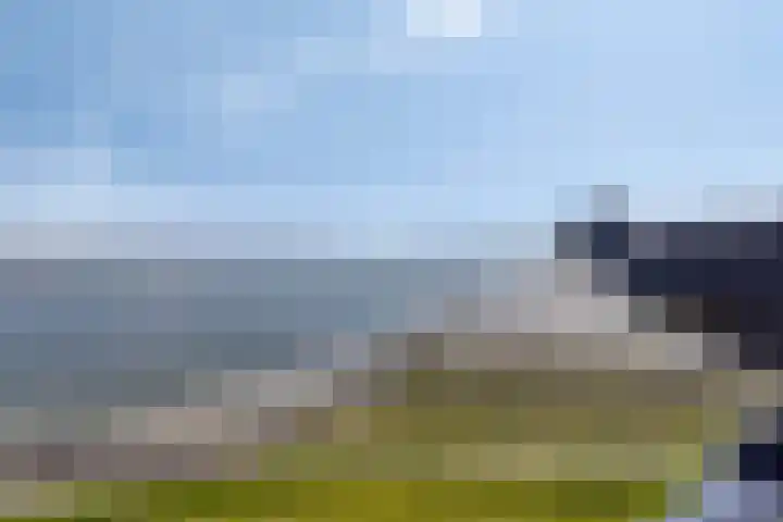 Port Scaldis 21 012 Breskens thumbnail 31