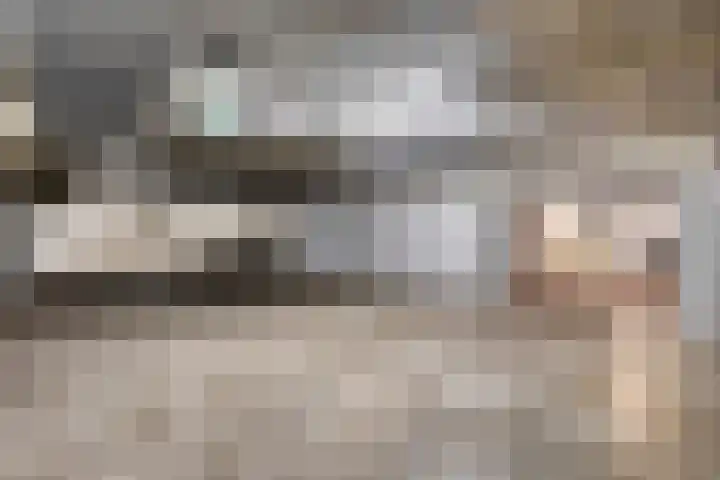 Port Scaldis 21 012 Breskens thumbnail 32