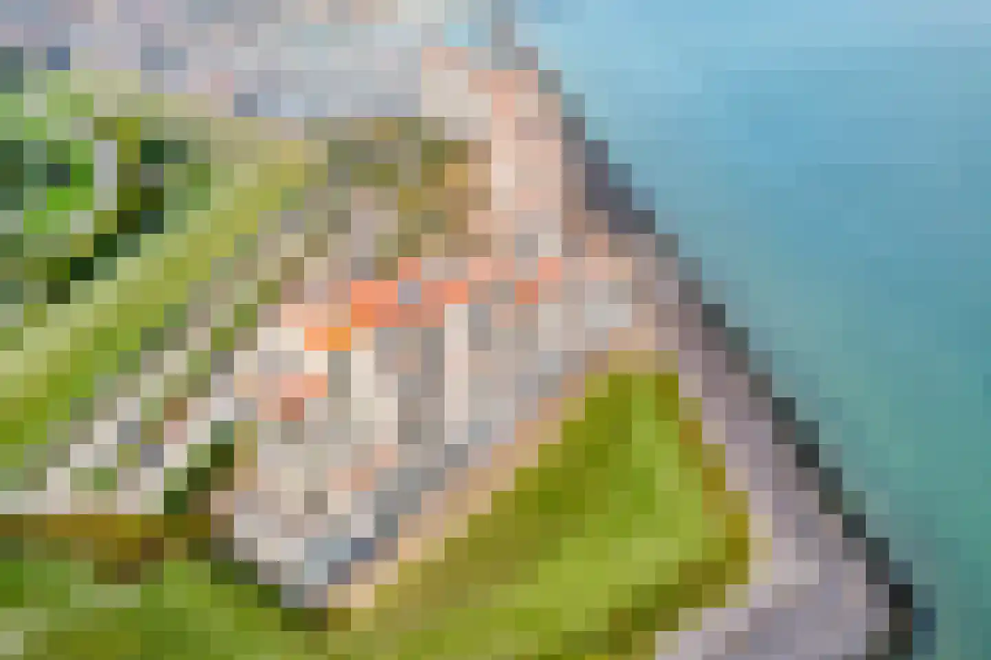 Port Scaldis 21 012 Breskens thumbnail 7