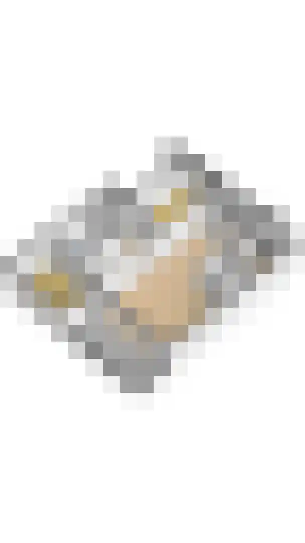 Port Scaldis 21 051 Breskens thumbnail 43