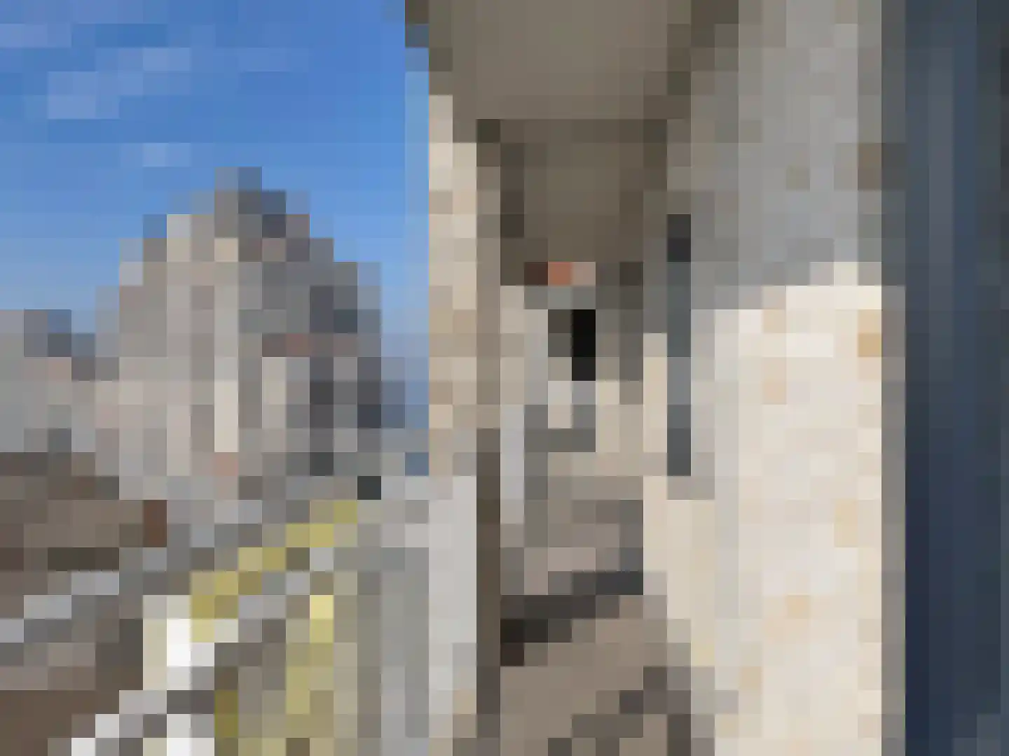 Port Scaldis 21 062 Breskens thumbnail 26