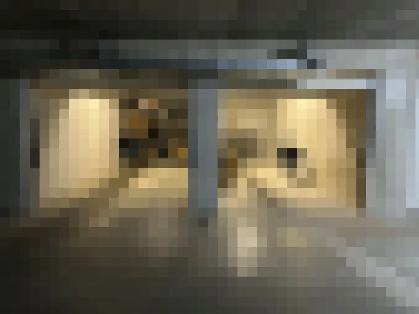 Port Scaldis 21 081 Breskens thumbnail 31
