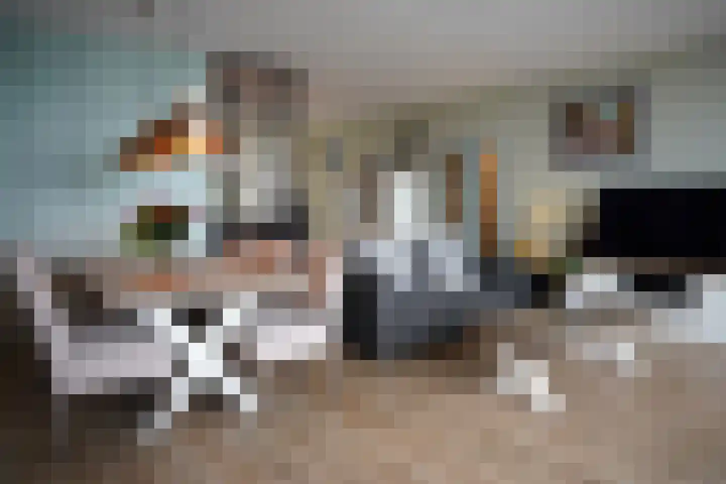 Port Scaldis 5 011 Breskens thumbnail 7