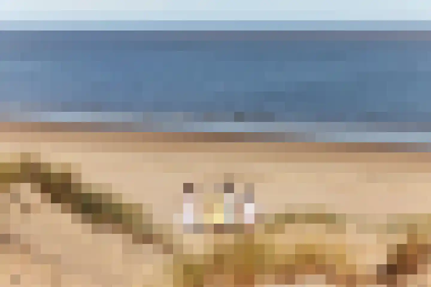 Port Zélande 469 Ouddorp thumbnail 10