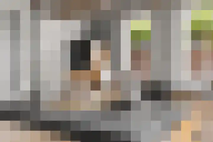 Porta Basilica 7 Houten thumbnail 18