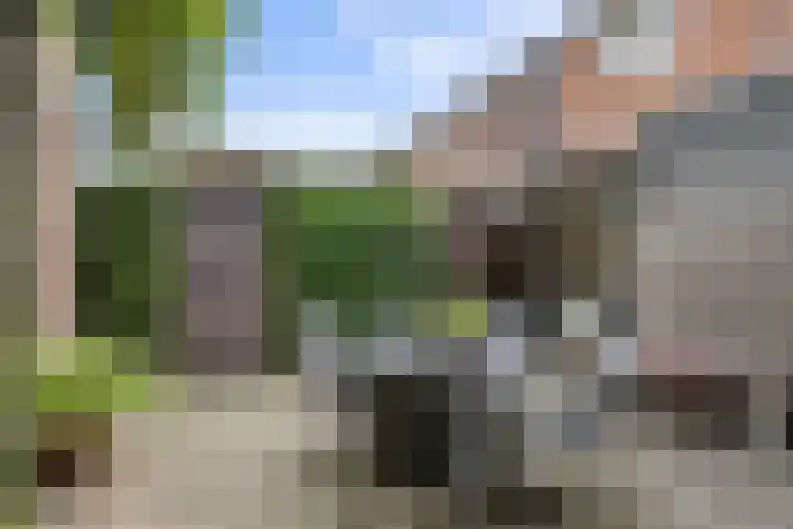 Porta Basilica 7 Houten thumbnail 27