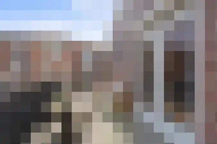 Porta Basilica 7 Houten thumbnail 36