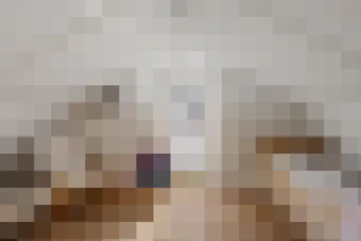 Porta Basilica 7 Houten thumbnail 47