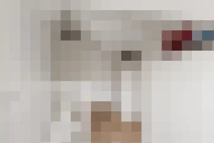Porta Basilica 7 Houten thumbnail 50