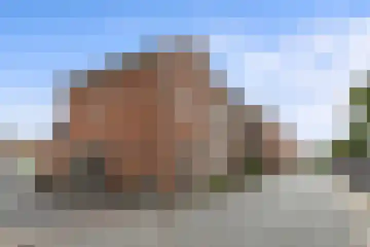 Porta Basilica 7 Houten thumbnail 54