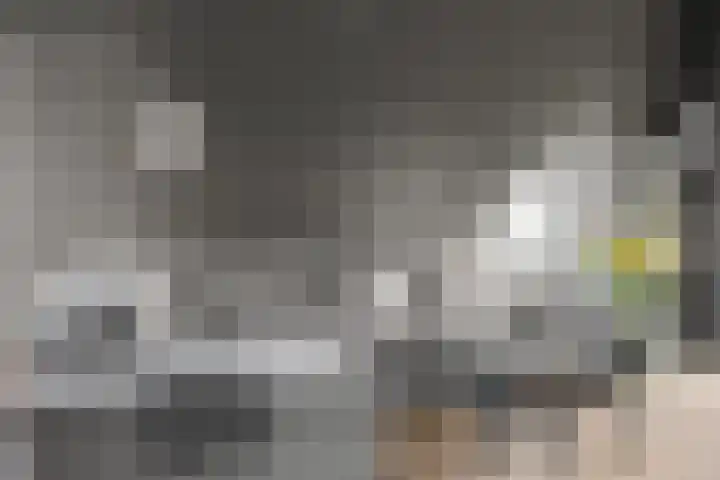 Porta Basilica 7 Houten thumbnail 6