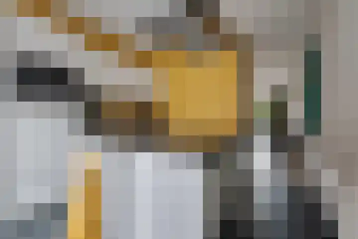 Porta Castra 6 Houten thumbnail 12