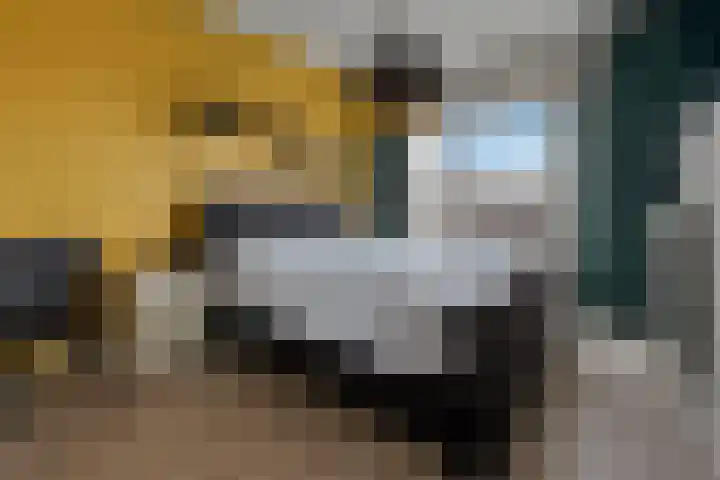 Porta Castra 6 Houten thumbnail 16